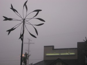 Foggy morning Sept 09 004 Foggy morning Sept 09 004