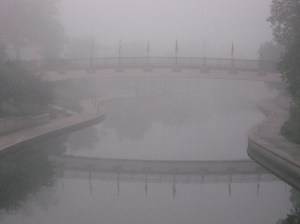 Foggy morning Sept 09 006 Foggy morning Sept 09 006