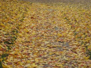 brookside blog photos 018