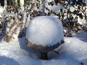 Buried bird bath